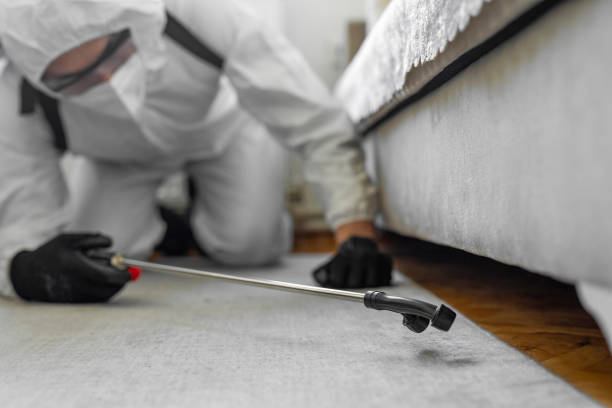 Professional Fumigation Services technician working in Wood County County, TX